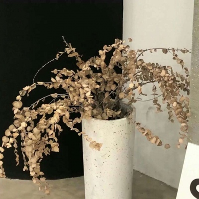 Furry插画创意构思福瑞交流群